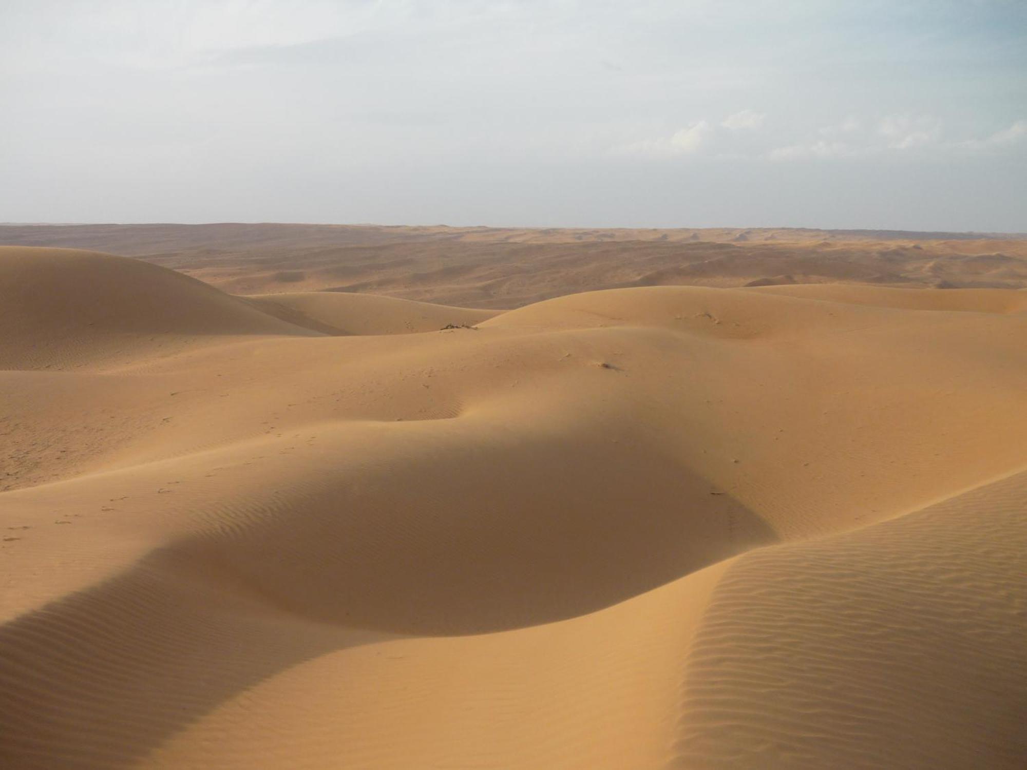Desert Retreat Camp Al Wāşil Kültér fotó