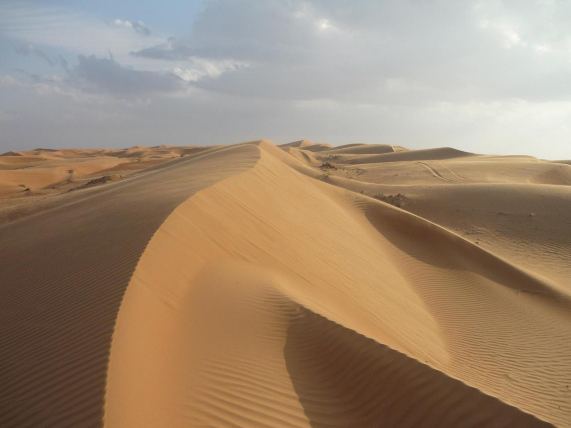 Desert Retreat Camp Al Wāşil Kültér fotó