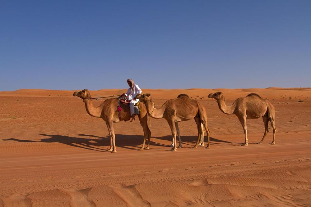 Desert Retreat Camp Al Wāşil Kültér fotó